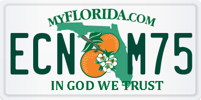 FL license plate ECNM75