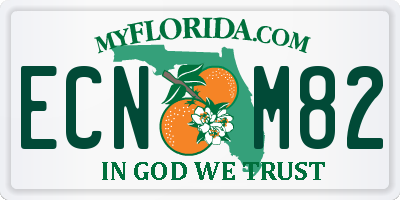 FL license plate ECNM82