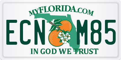 FL license plate ECNM85