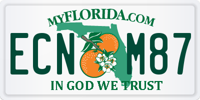 FL license plate ECNM87