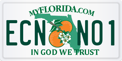 FL license plate ECNN01