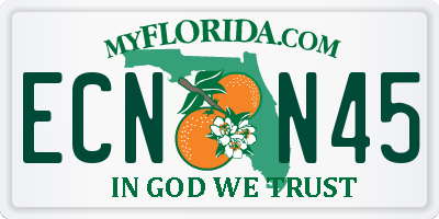 FL license plate ECNN45