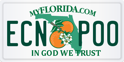 FL license plate ECNP00