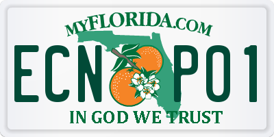 FL license plate ECNP01