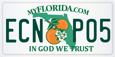 FL license plate ECNP05