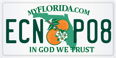 FL license plate ECNP08