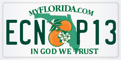 FL license plate ECNP13