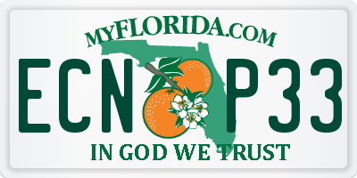 FL license plate ECNP33