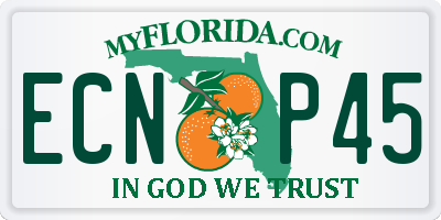FL license plate ECNP45