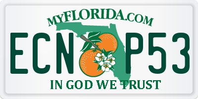 FL license plate ECNP53