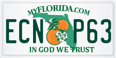 FL license plate ECNP63