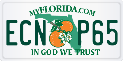 FL license plate ECNP65
