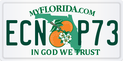 FL license plate ECNP73