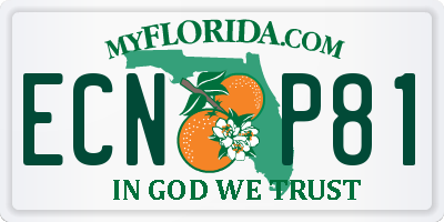 FL license plate ECNP81