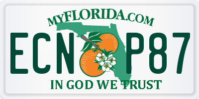 FL license plate ECNP87