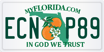 FL license plate ECNP89