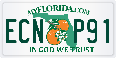 FL license plate ECNP91