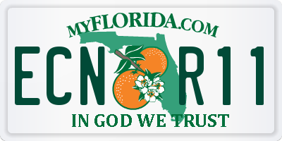 FL license plate ECNR11