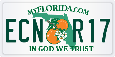FL license plate ECNR17