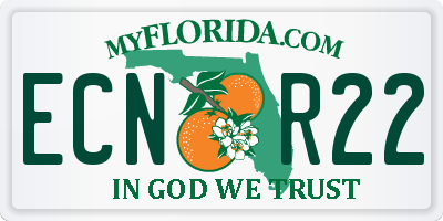 FL license plate ECNR22