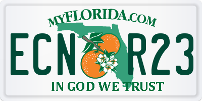 FL license plate ECNR23