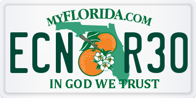 FL license plate ECNR30