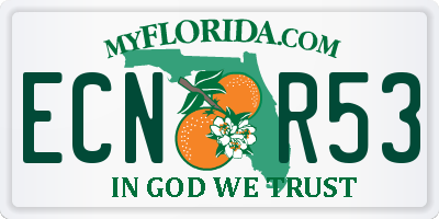 FL license plate ECNR53