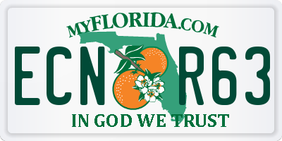 FL license plate ECNR63