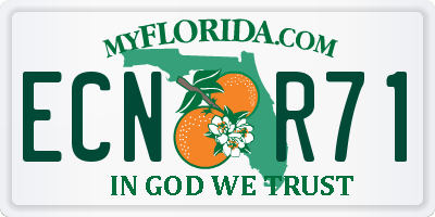FL license plate ECNR71