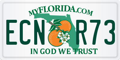 FL license plate ECNR73