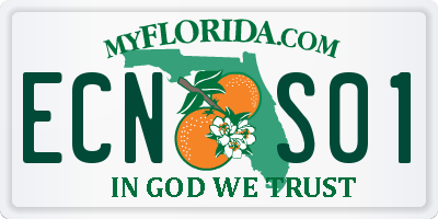 FL license plate ECNS01