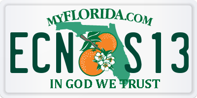 FL license plate ECNS13