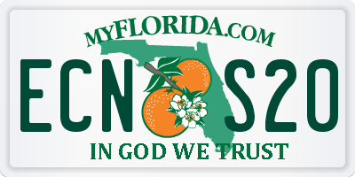 FL license plate ECNS20