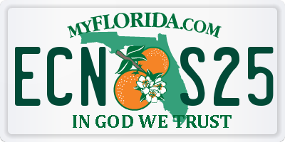 FL license plate ECNS25