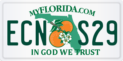 FL license plate ECNS29