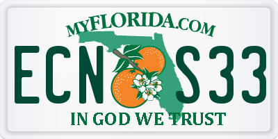 FL license plate ECNS33