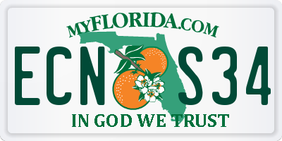 FL license plate ECNS34