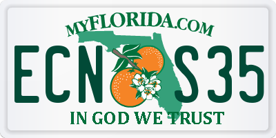 FL license plate ECNS35