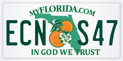 FL license plate ECNS47