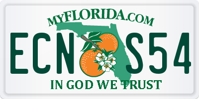 FL license plate ECNS54
