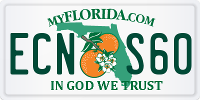 FL license plate ECNS60