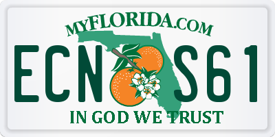 FL license plate ECNS61