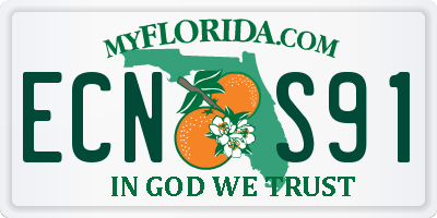 FL license plate ECNS91