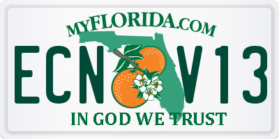 FL license plate ECNV13