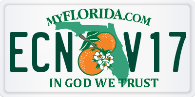 FL license plate ECNV17