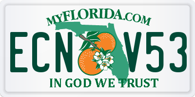 FL license plate ECNV53