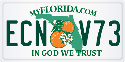 FL license plate ECNV73
