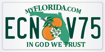 FL license plate ECNV75