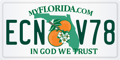 FL license plate ECNV78