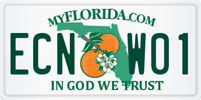 FL license plate ECNW01